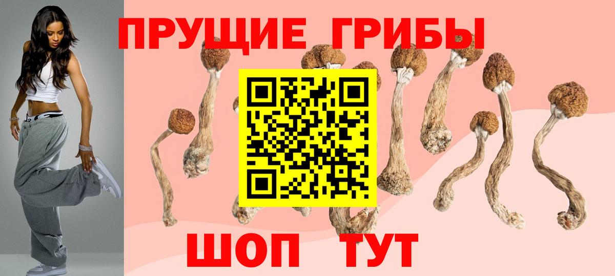 Псилоцибиновые грибы мухоморы  Вход с VPN  купить наркоту  Семёнов 
